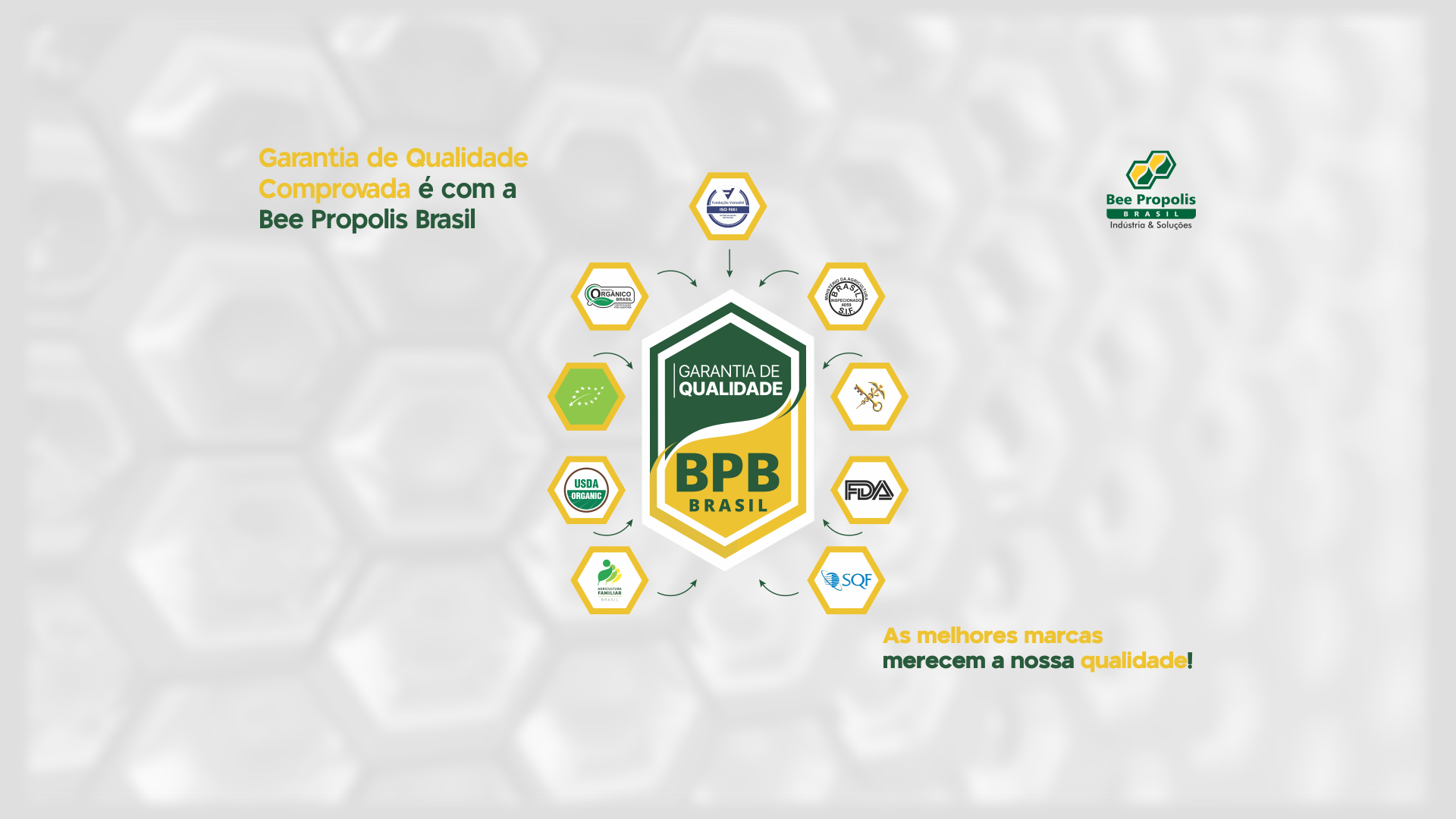 Selo Qualidade BPB
