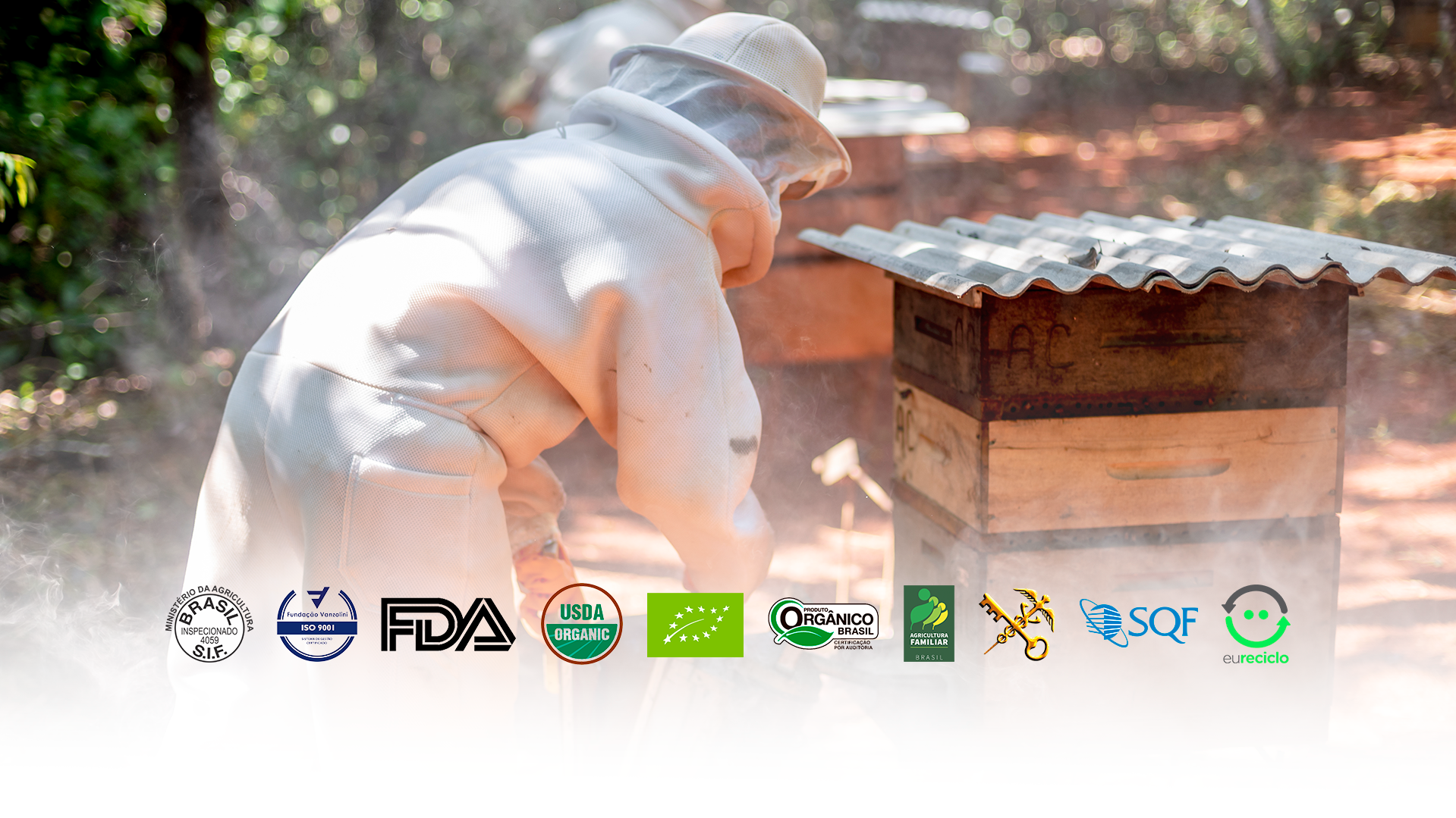 Bee Propolis