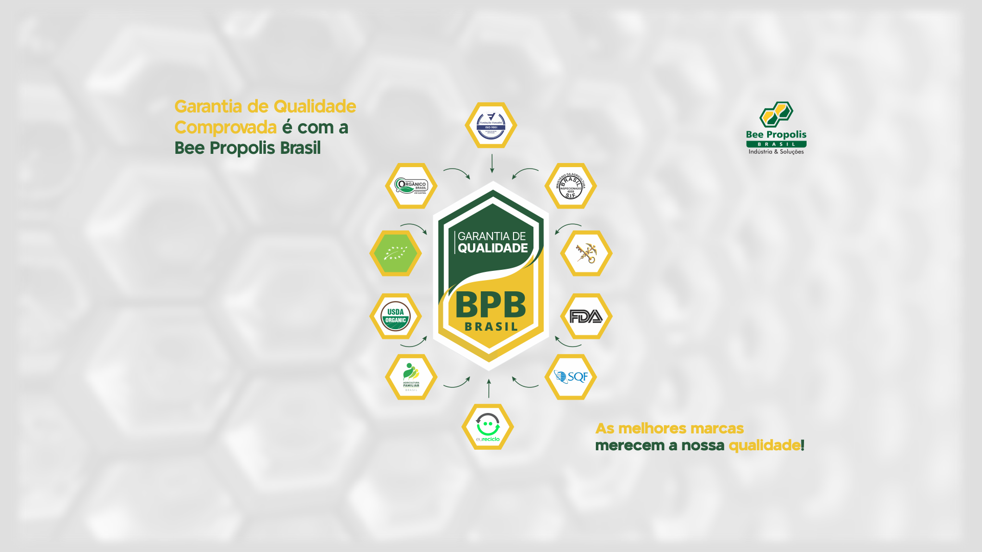 Selo Qualidade BPB
