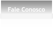 Fale Conosco